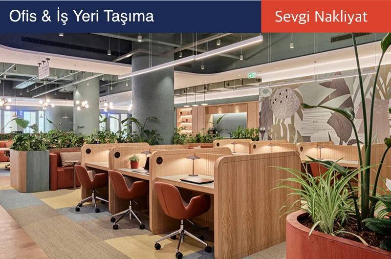 ofis taşıma